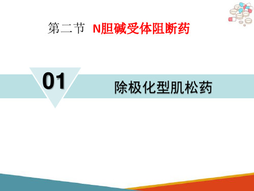 胆碱受体拮抗药—N胆碱受体拮抗药(药理学课件)