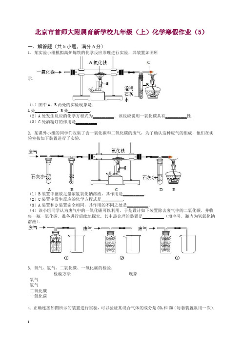 北京市首师大附属育新学校九年级化学上学期寒假作业(5)(含解析) 新人教版【精编】.doc