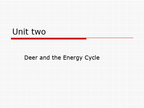 大学英语精读第四册Unit two