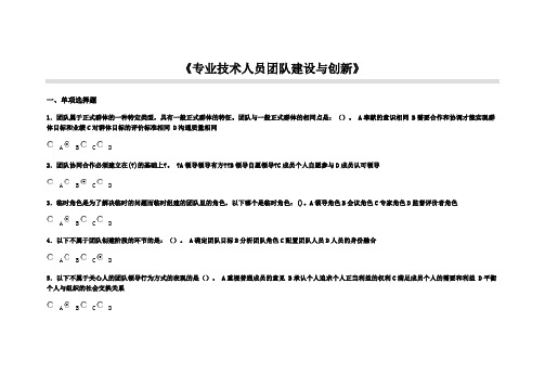 专业技术人员团队建设与创新