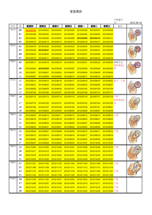 怀孕表-孕妇手册