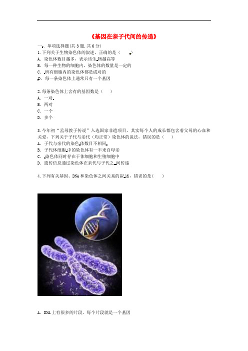 八年级生物下册7.2.2基因在亲子代间的传递拔高练习 新人教版