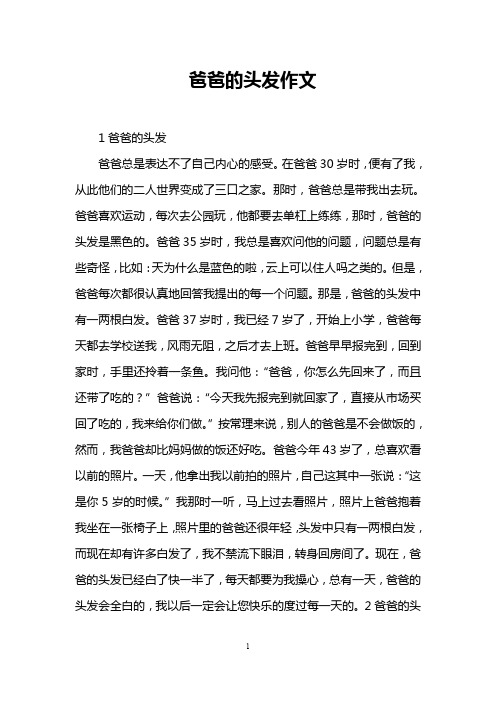 爸爸的头发作文