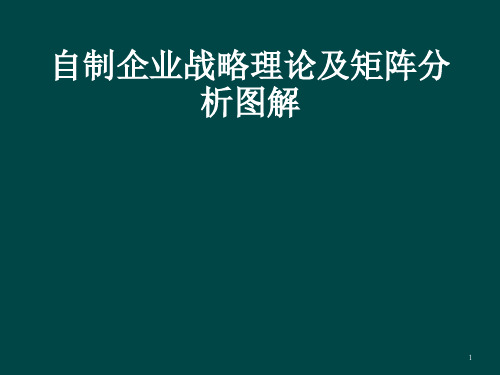 企业战略理论及矩阵分析图解集锦ppt课件