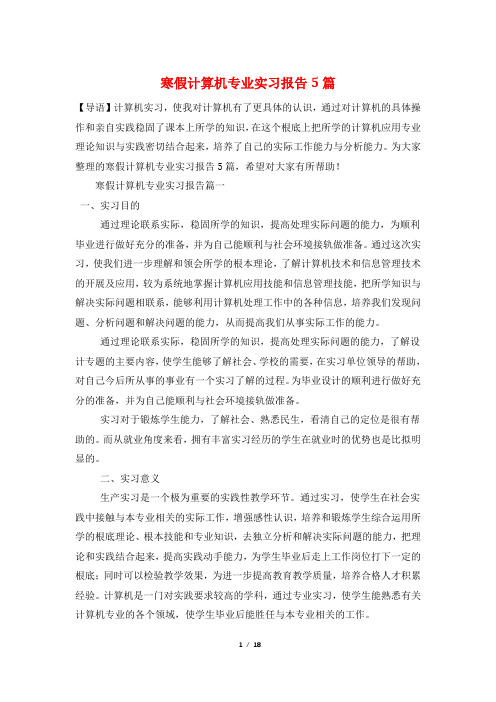 寒假计算机专业实习报告5篇