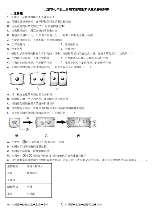 北京市七年级上册期末生物期末试题及答案解答