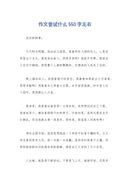 作文尝试什么550字左右