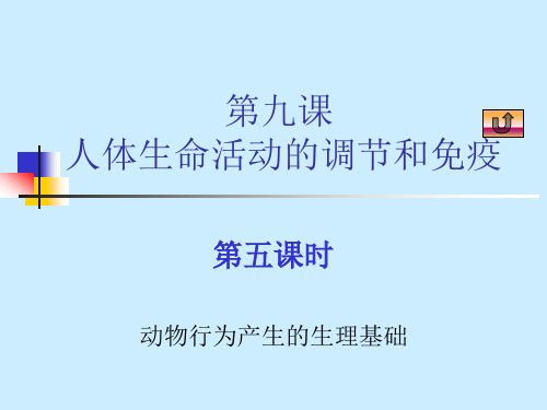 动物行为产生的生理基础PPT课件