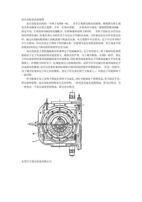 高压齿轮泵的剖视图