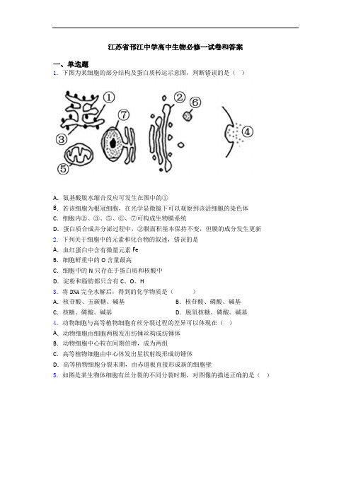 江苏省邗江中学高中生物必修一试卷和答案