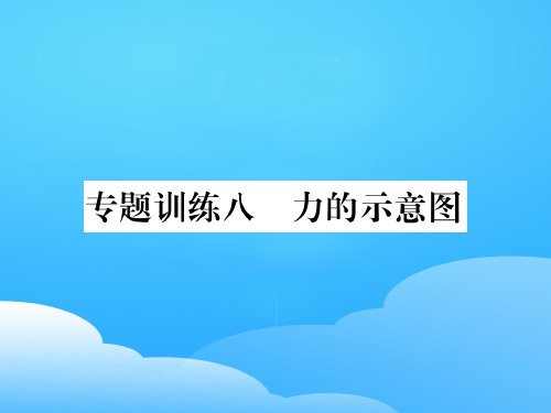 第六章 专题训练八 力的示意图—2020秋沪科版八年级物理上册课堂作业课件