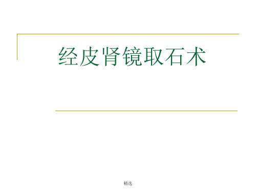 终版经皮肾镜技术.ppt