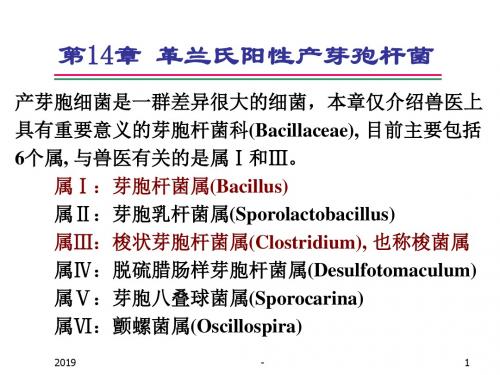 第章致病菌的检验——革兰氏阳性产芽孢杆菌简要ppt课件