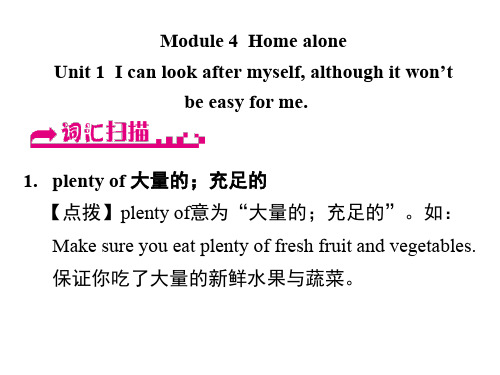 浙江省嘉兴市秀洲区九年级英语上册 Module 4 Unit 1 I can look after 