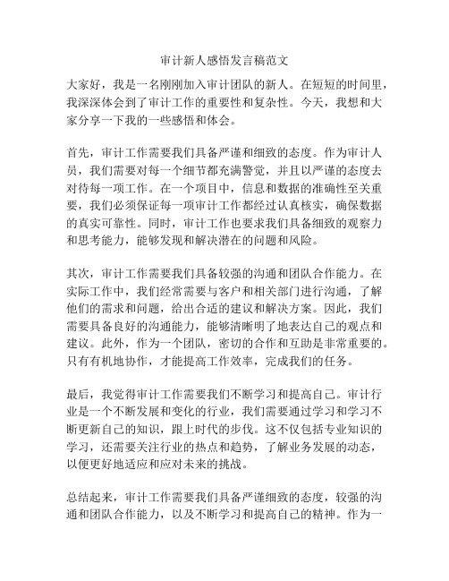 审计新人感悟发言稿范文