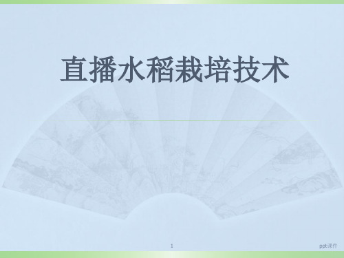 直播水稻栽培技术  ppt课件