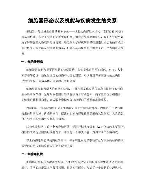 细胞器形态以及机能与疾病发生的关系