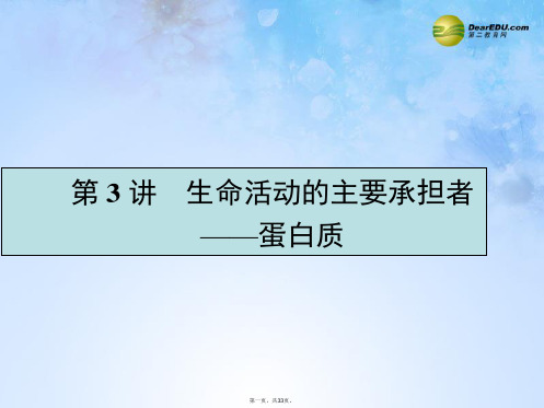 高考生物一轮复习 1.3 生命活动的主要承担者 蛋白质课件 新人教版必修1