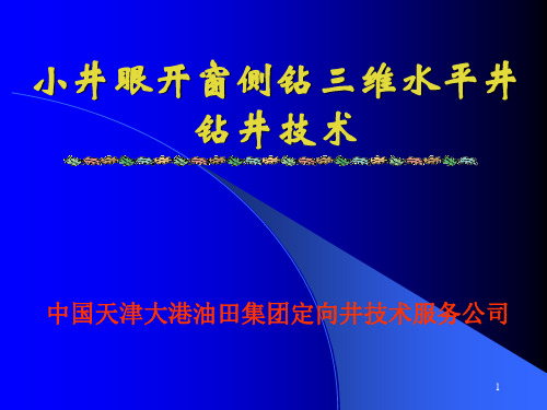 小井开窗侧钻三维水平井钻井技术-文档资料