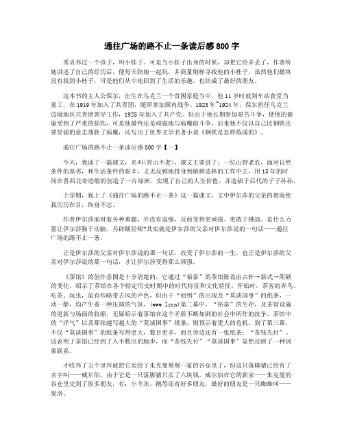 通往广场的路不止一条读后感800字