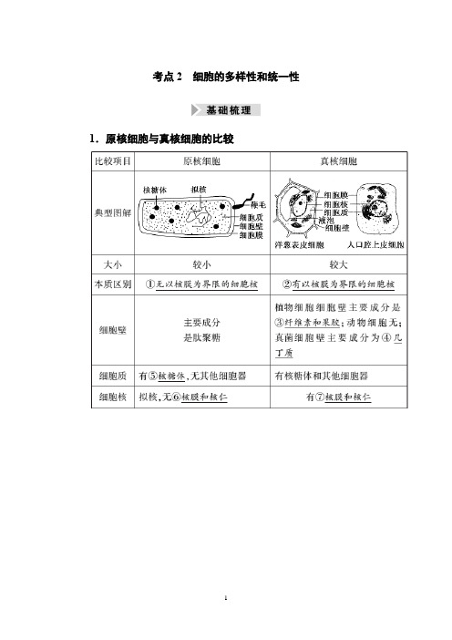 高中生物考点  细胞的多样性和统一性