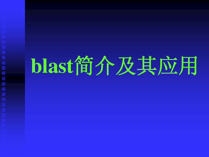 Blast的使用