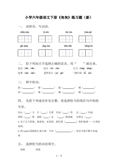 小学六年级语文下册《匆匆》练习题(新)