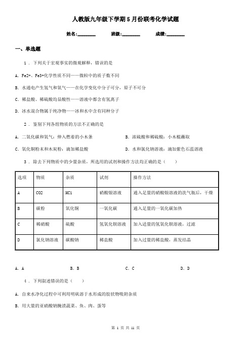 人教版九年级下学期5月份联考化学试题