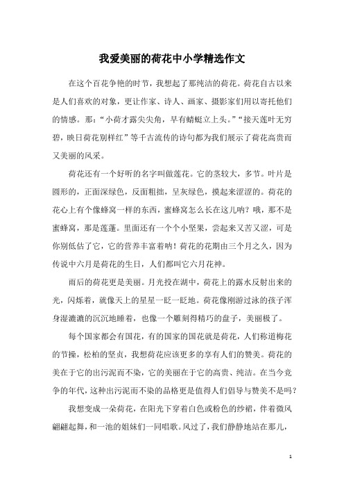 我爱美丽的荷花中小学精选作文