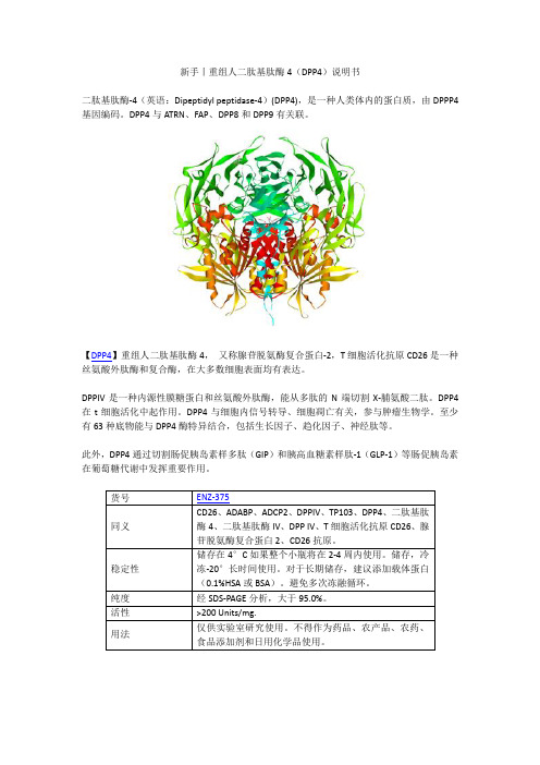 新手丨重组人二肽基肽酶4(DPP4)说明书