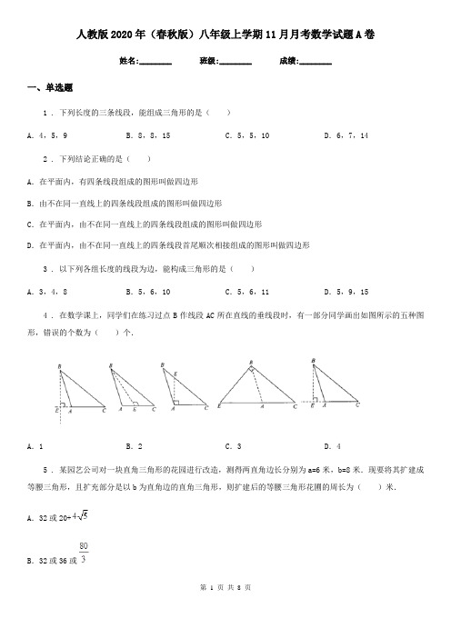 人教版2020年(春秋版)八年级上学期11月月考数学试题A卷(测试)