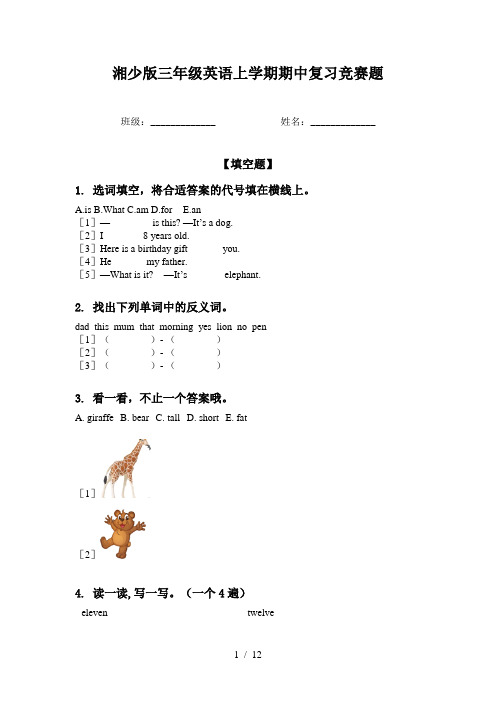 湘少版三年级英语上学期期中复习竞赛题