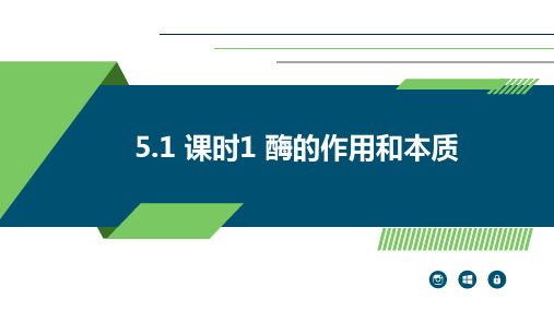 酶的作用和本质课件-高一上学期生物人教版必修1