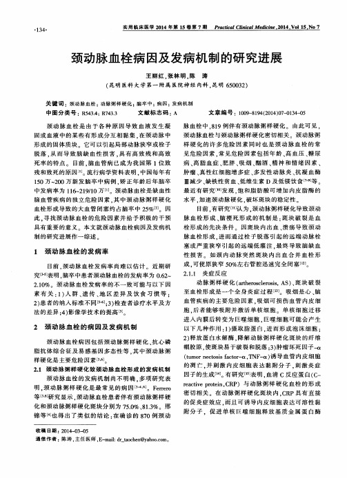 颈动脉血栓病因及发病机制的研究进展