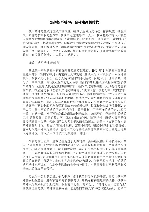 弘扬铁军精神,奋斗走好新时代