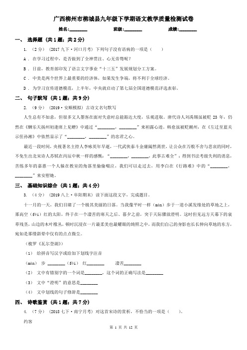 广西柳州市柳城县九年级下学期语文教学质量检测试卷