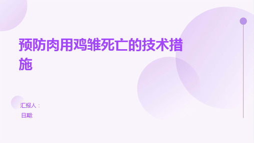 预防肉用鸡雏死亡的技术措施