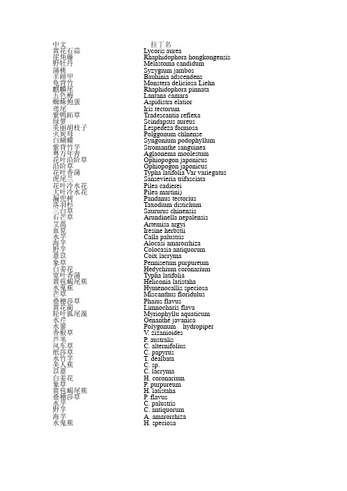 水生植物中文名及拉丁名对照