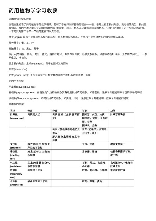 药用植物学学习收获