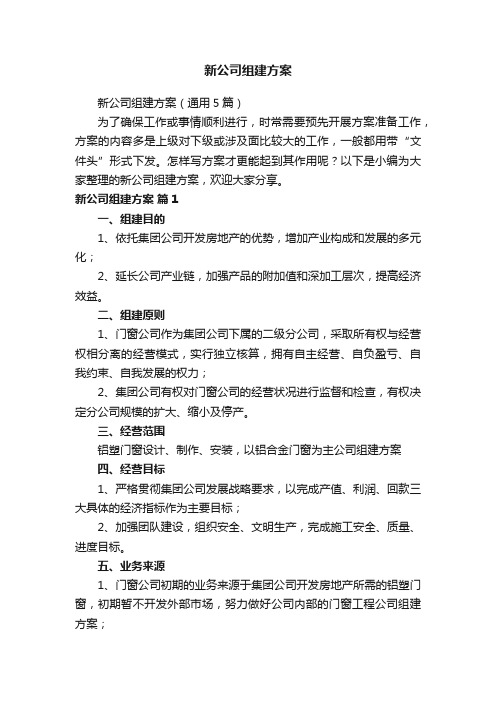 新公司组建方案（通用5篇）