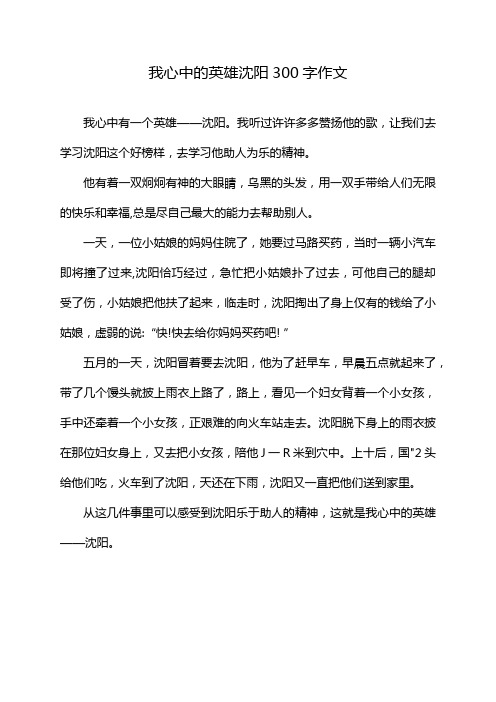 我心中的英雄沈阳300字作文