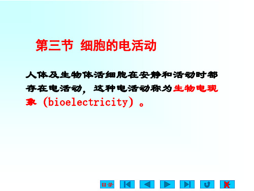 生理学静动作电位课件