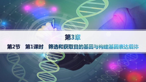 人教版高中生物学选择性必修3生物技术与工程精品课件 第3章 筛选和获取目的基因与构建基因表达载体