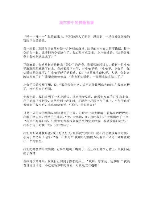 我在梦中的冒险故事