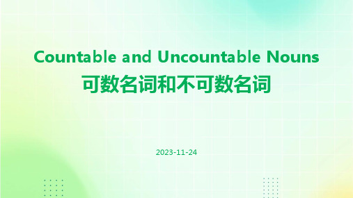 可数名词和不可数名词(课件)人教PEP版英语六年级下册