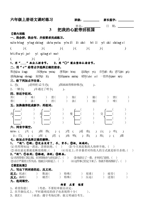 苏教版六年级语文上册 第3课 把我的心脏带回祖国 课时练习