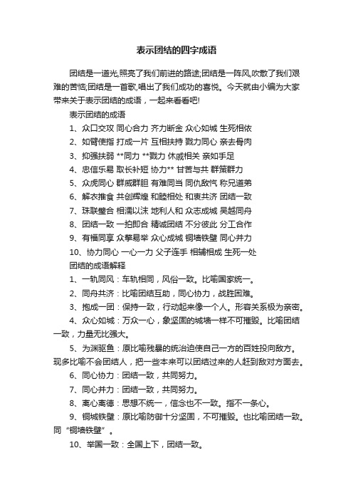 表示团结的四字成语