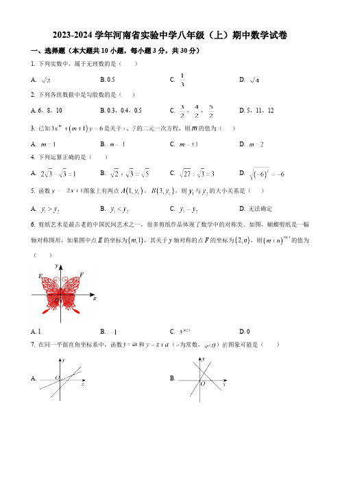 河南省实验中学2023-2024学年八年级上学期期中数学试题(解析版)