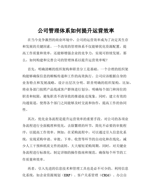 公司管理体系如何提升运营效率