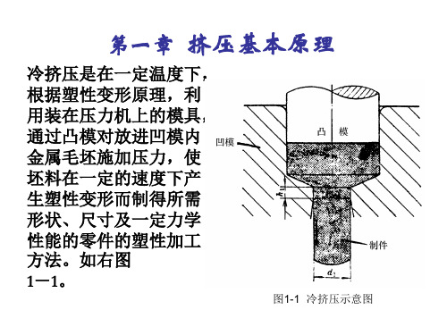 第一章挤压基本原理
